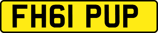 FH61PUP