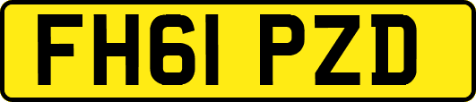 FH61PZD