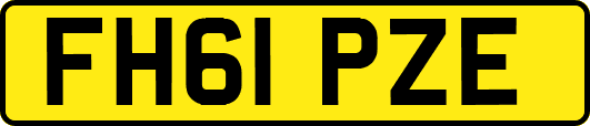 FH61PZE