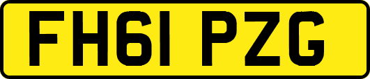 FH61PZG