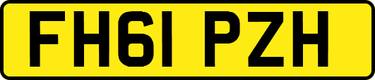 FH61PZH