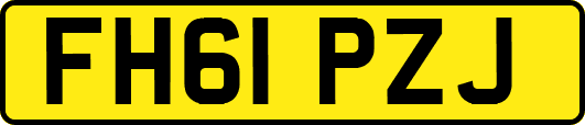 FH61PZJ
