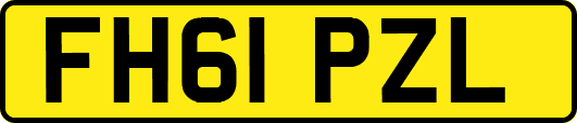 FH61PZL