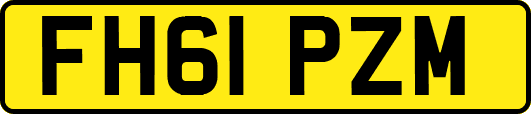 FH61PZM