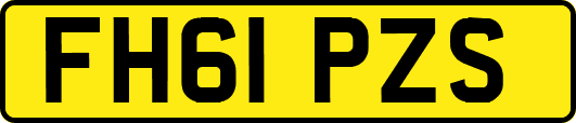 FH61PZS