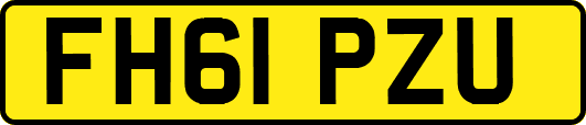 FH61PZU