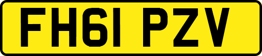 FH61PZV