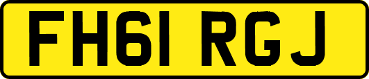 FH61RGJ