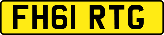 FH61RTG