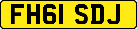 FH61SDJ