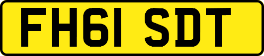 FH61SDT