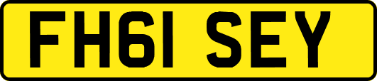 FH61SEY