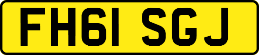FH61SGJ
