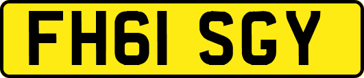 FH61SGY