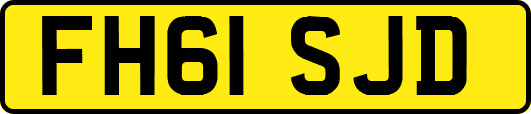 FH61SJD