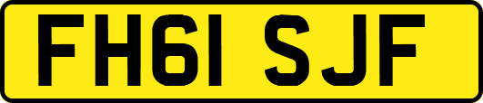 FH61SJF