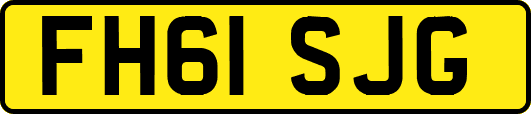 FH61SJG