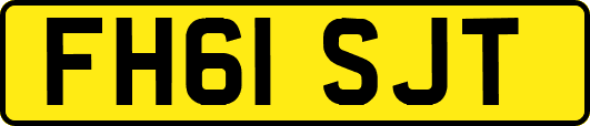 FH61SJT
