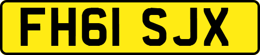 FH61SJX