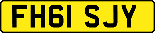 FH61SJY