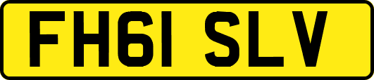 FH61SLV
