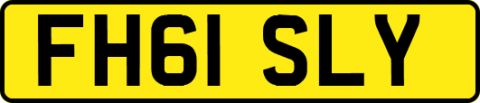 FH61SLY