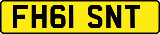 FH61SNT