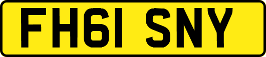 FH61SNY
