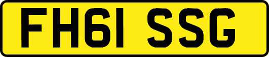 FH61SSG