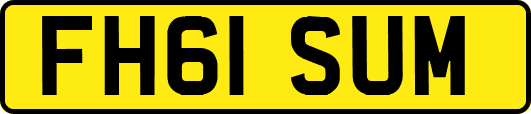 FH61SUM