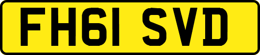 FH61SVD