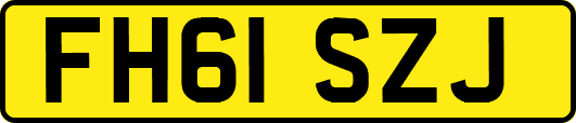 FH61SZJ