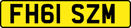 FH61SZM