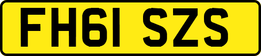 FH61SZS
