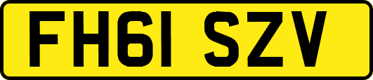 FH61SZV