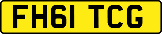 FH61TCG