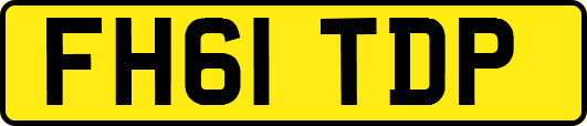 FH61TDP