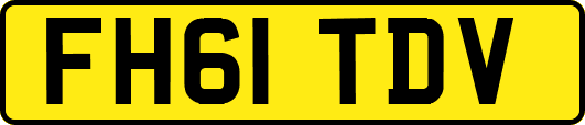 FH61TDV