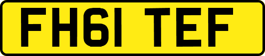 FH61TEF