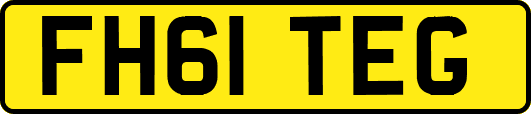 FH61TEG