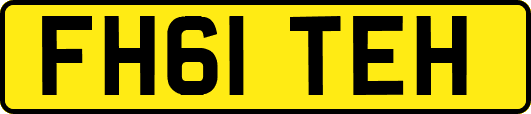 FH61TEH