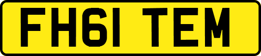 FH61TEM