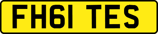 FH61TES