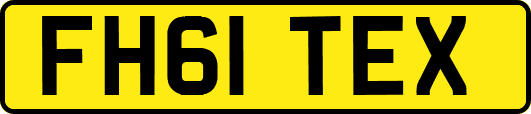 FH61TEX