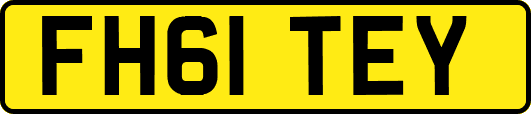 FH61TEY