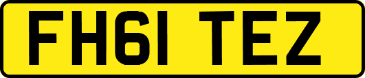FH61TEZ