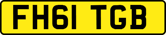 FH61TGB