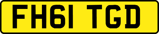 FH61TGD