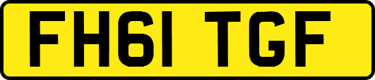 FH61TGF