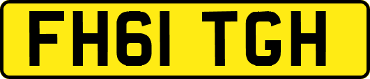 FH61TGH